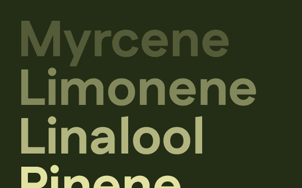 Understand terpenes and their benefits